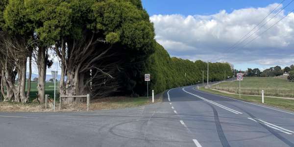 Ringarooma Cypress Memorial Tree Avenue | Update